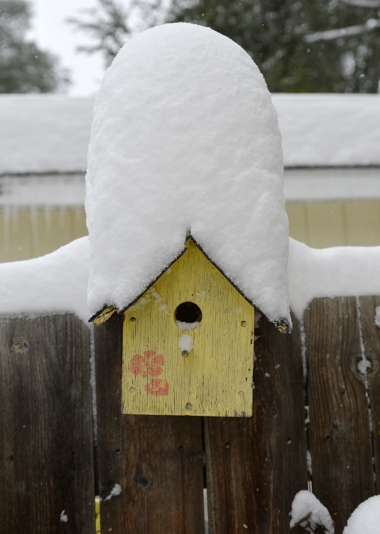 101219-nws-Snow-Storm-02